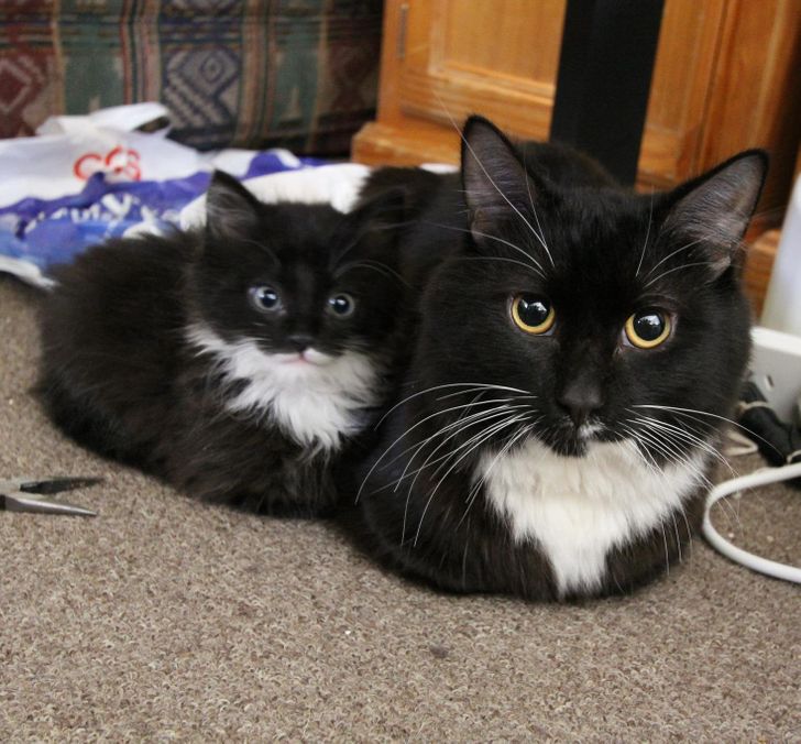 e4d8c85985a75644b8b817de78