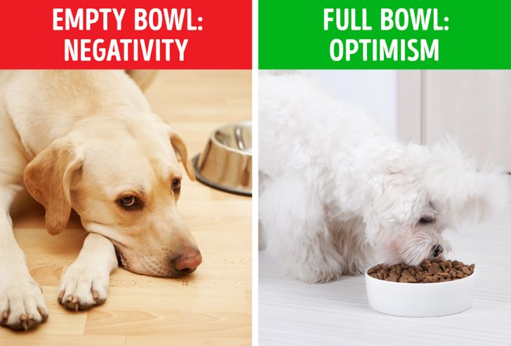 e4dea855bbb57a4a321e1dd1e9