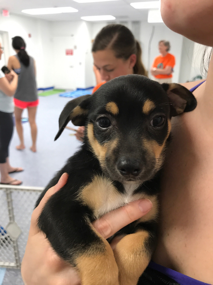 e4e53f5fcc8b11ddcf26bb0d60