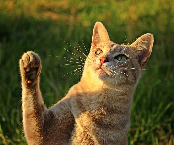 e4e60f56348646952a3fd4e67f