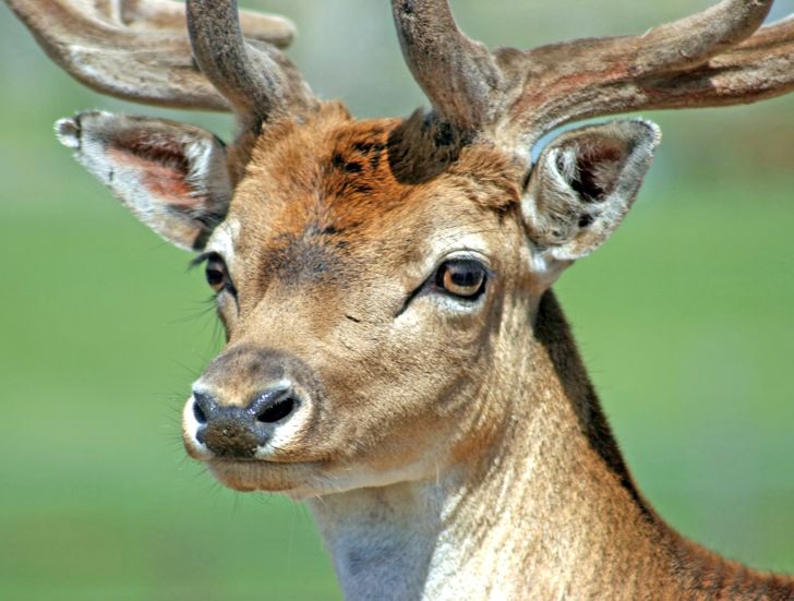 e4e9dd5cb0bb9645786820f7ba