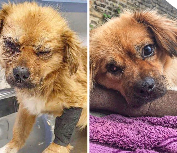 e4ec585c96a4858787574121ea