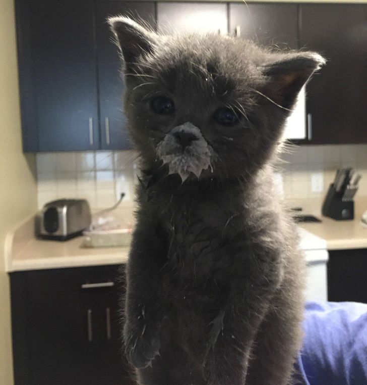 e4edc659d1992d428ba6dcaad4