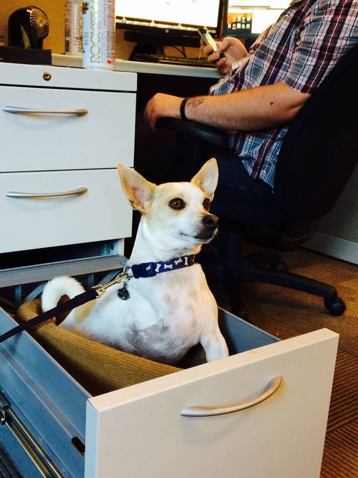 e4f2235990a383150f31370f07