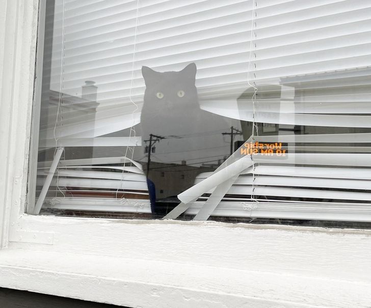 e4ff1e59e58351717f98b94d9a