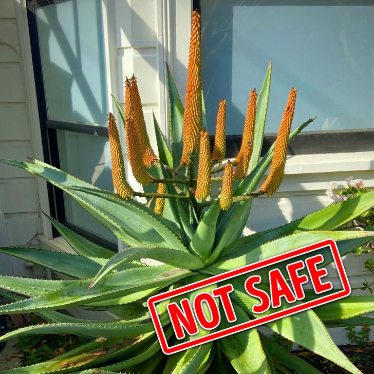 e4ffbb59338a1e40846b467506