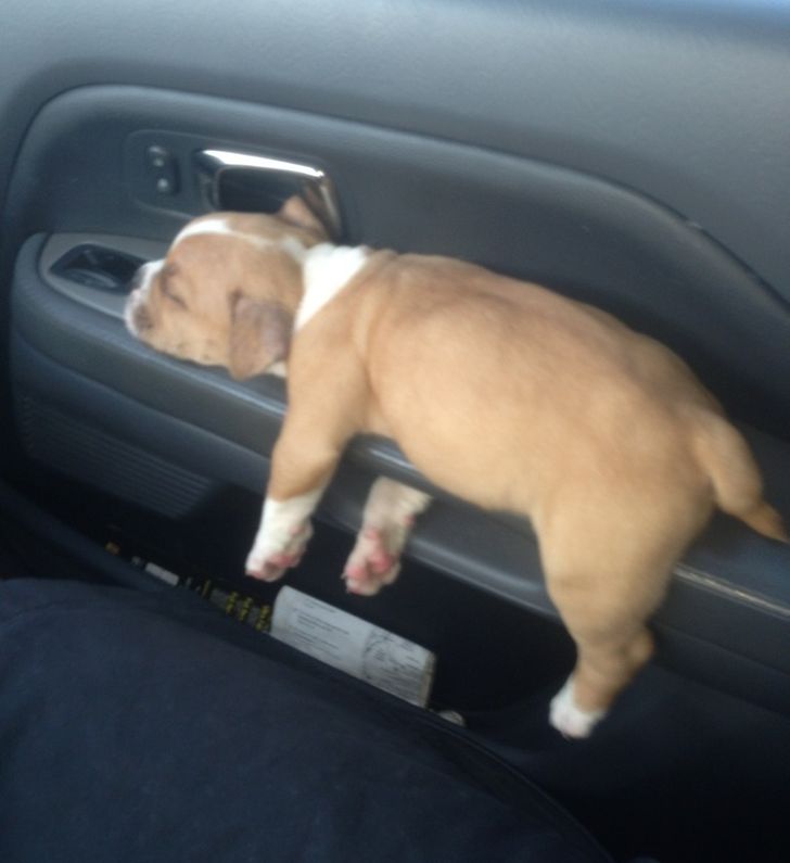 e50519541581500d0557a0dc27