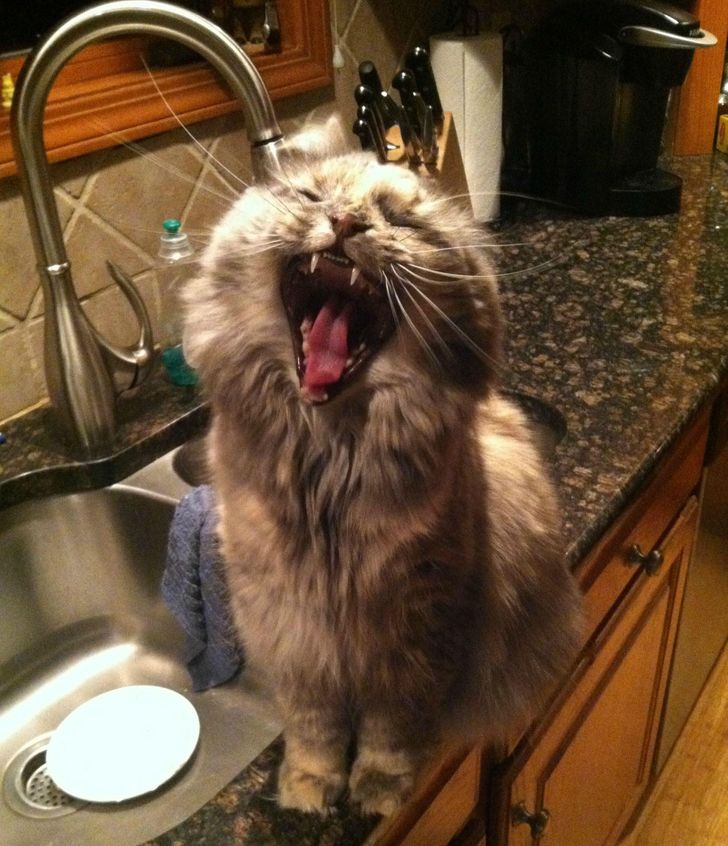 e5091d547e866831f9e505b49e