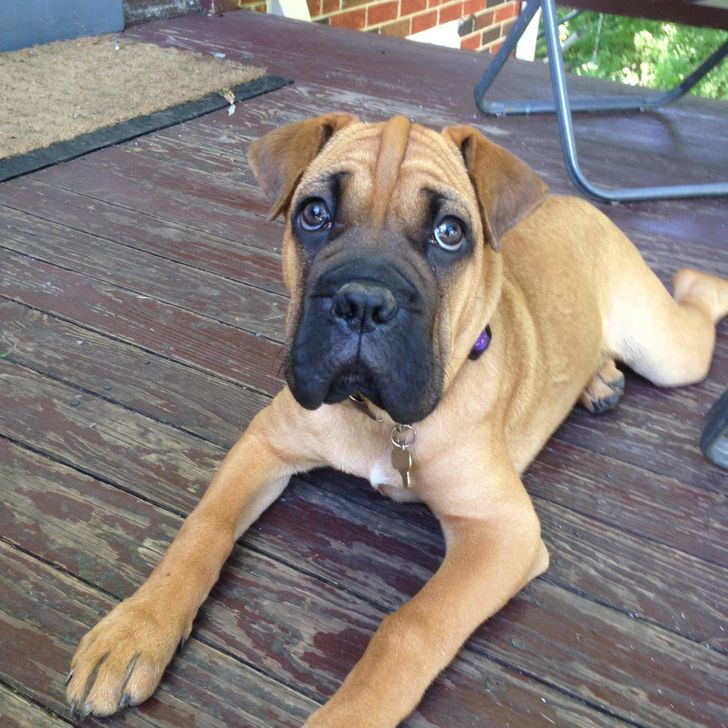 e50b2855c69cfade7e6465c401