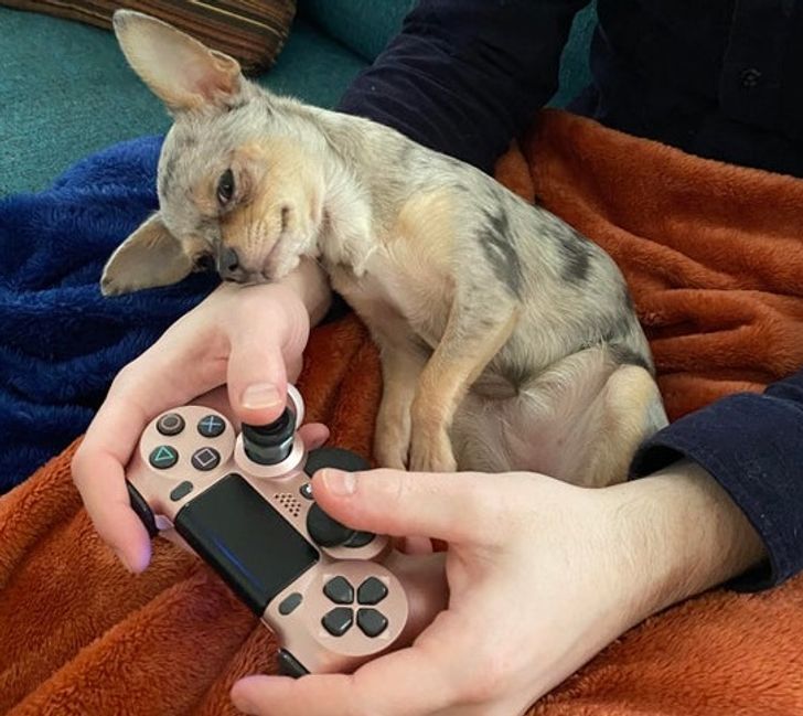 e50c3b5eda8df4215bba2d3cf1