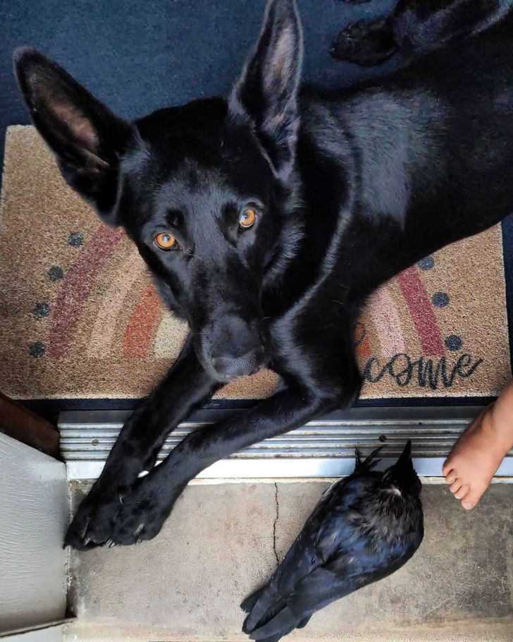 e50f5f5d818e98d2f1ce946a71