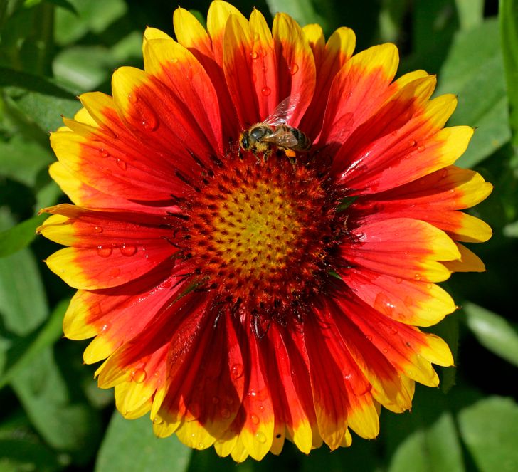 e5136b5156b8d0abad92731aea