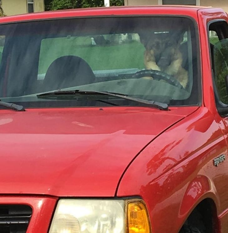 e5188d539f9938e11ee60a0409