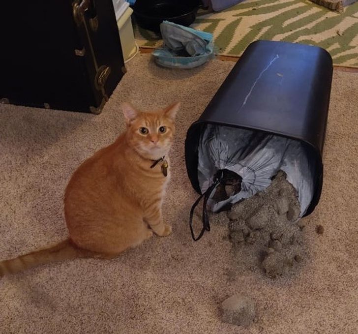 e518a05b2fb572382cd7c7f363