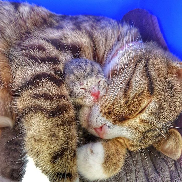 e51b44589eb98e3a5ffc40be92