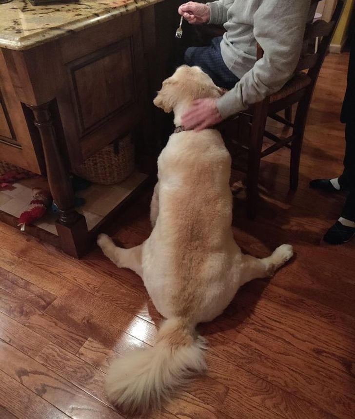 e51b9553e2a26391b245d56a60