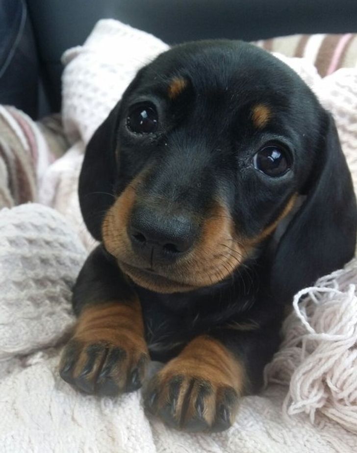 e528995c308c6c52458e02c809