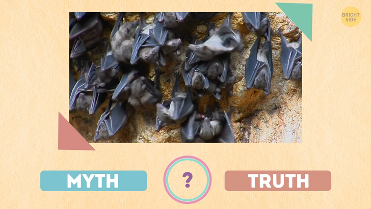 e53487536097d619a5eb5d1260