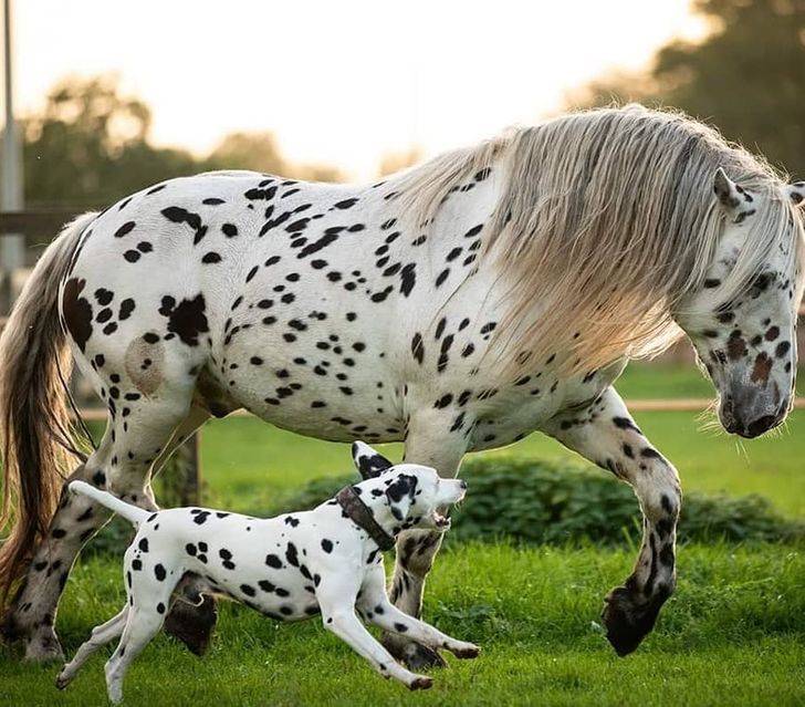 e5348c543aa91d915caa54bec0