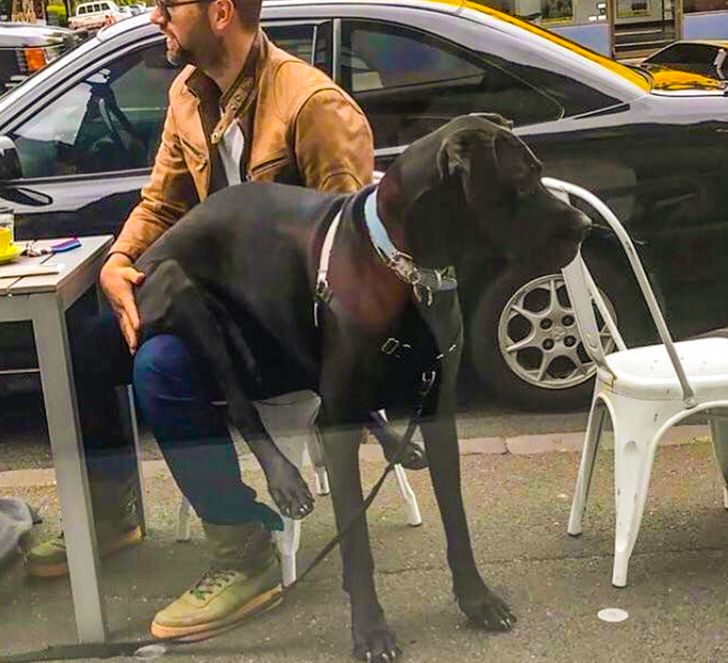 e535515da49435c553fb63857a