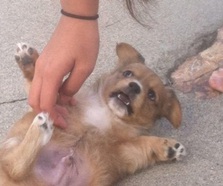 e538235012b9b3c705f9339661