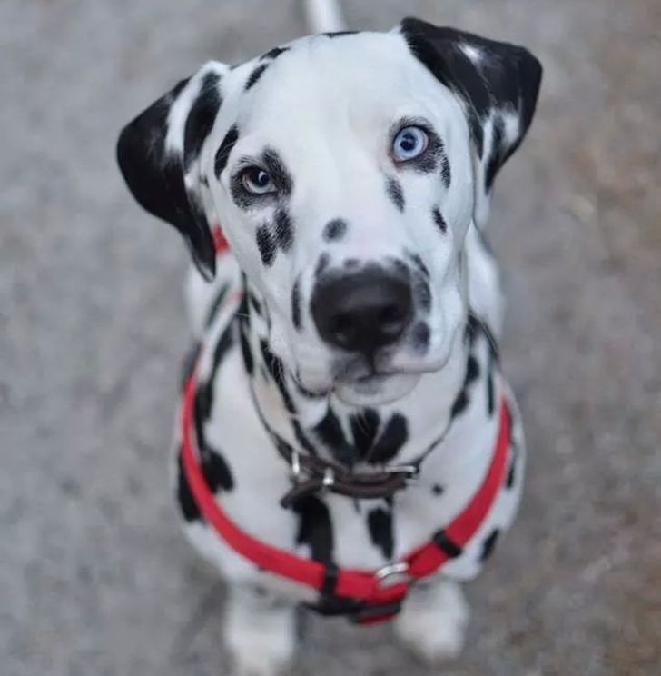 e53a1759dc897e2242b67dd0a2