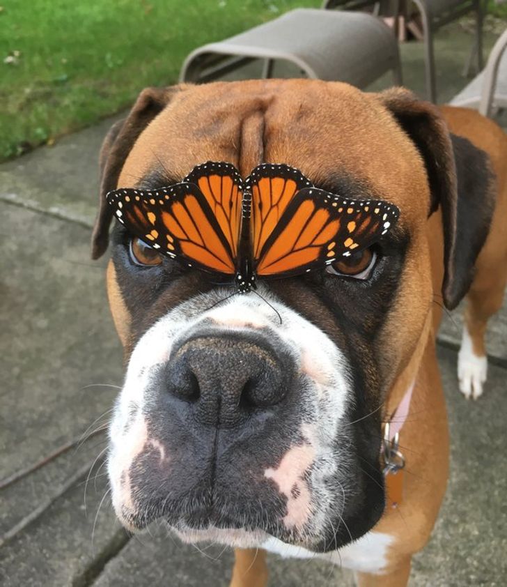 e53a975ea2ae44abbd9b18f689 e53a975ea2ae44abbd9b18f689