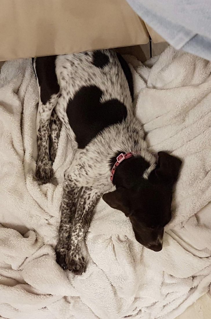 e54597533cb2f31efc67f0c70d