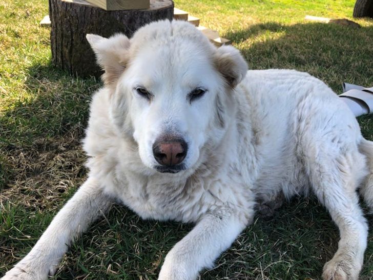 e5484f5748a3eaf690e3395239