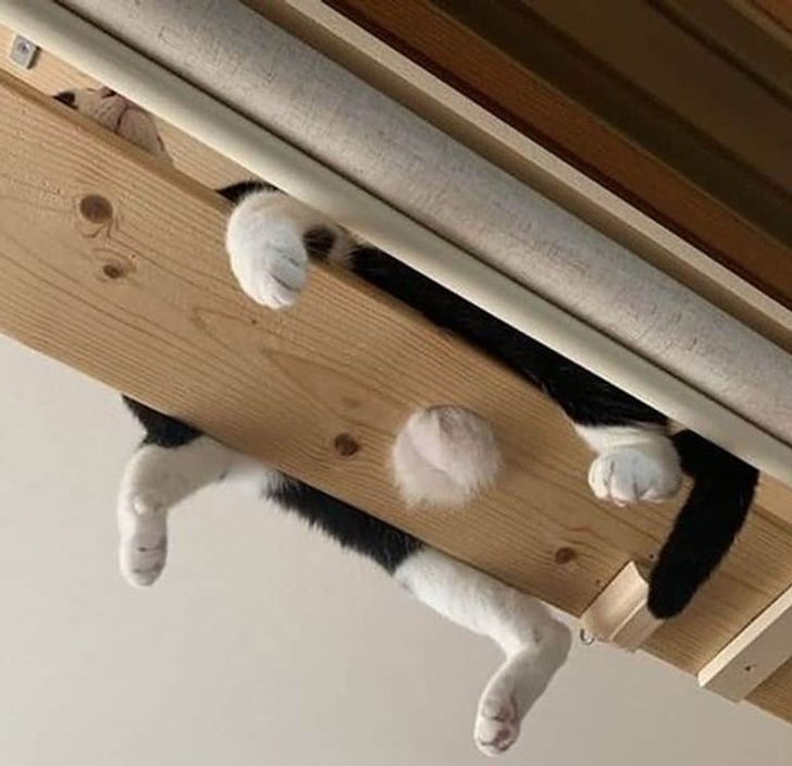 e55205541d96e477d15b5f2704