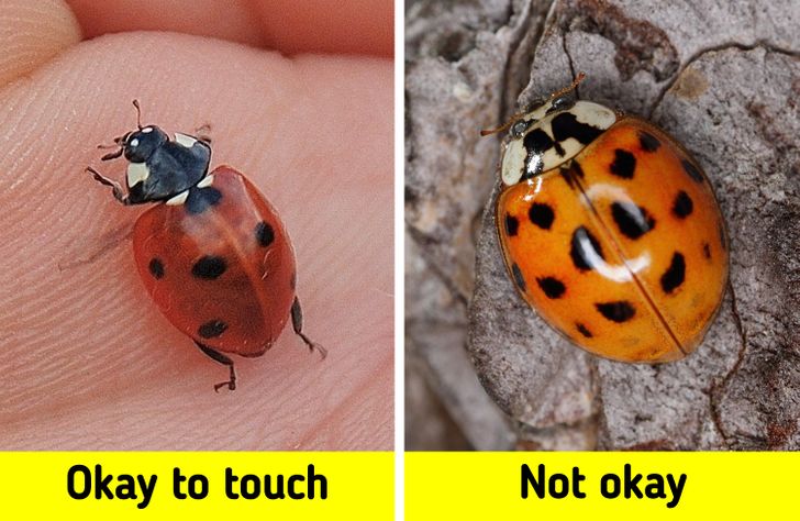 e5526f5ecb90639f9e27a67743