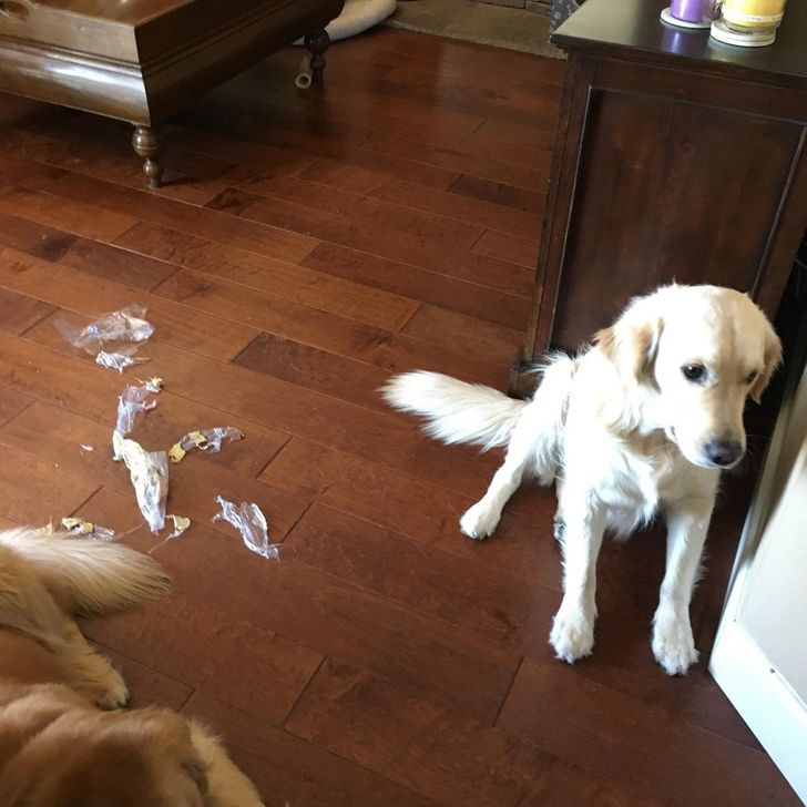 e5570a57f6818aef6fd024e83f