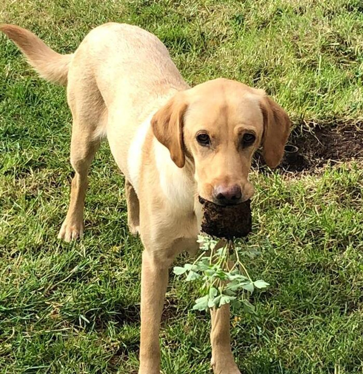 e5571352e3b730e770c7744b08 e5571352e3b730e770c7744b08