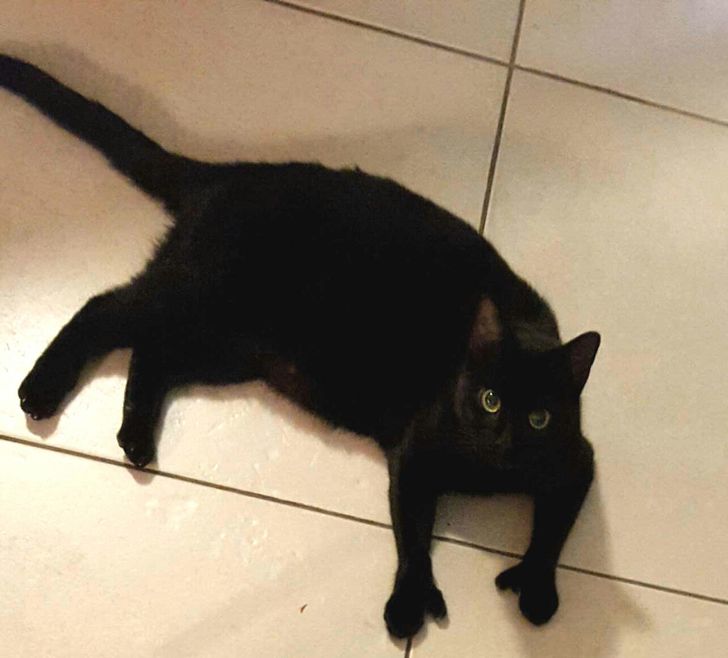 e5590151af949afaa30849c60a