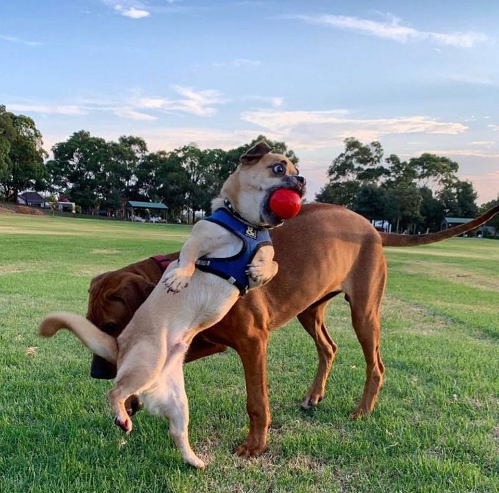 e55bf0525f94415d9ea6ce1782