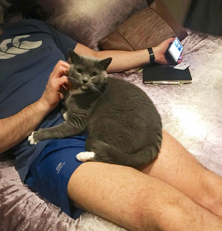 e55c645b67bb3a46fb2f6133de