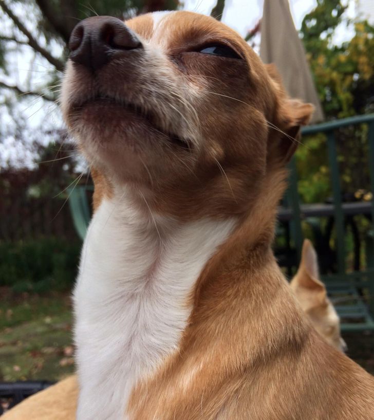 e55cca53eeb7827532602ec19e