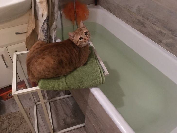 e565325ee1be13fd6c62280bab