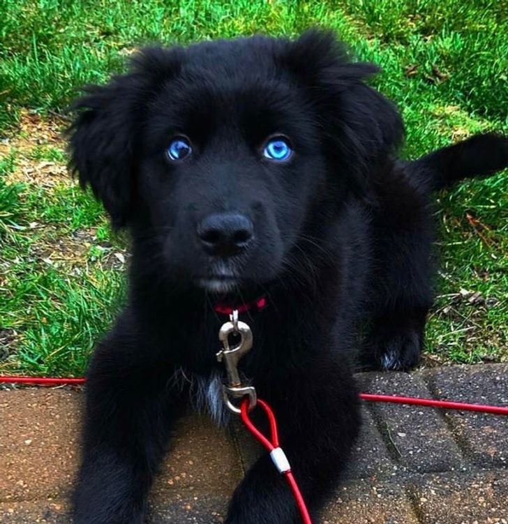 e566c45f2d84f09dbbae8bb231