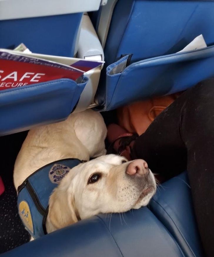 e5680a5830909e60c394182182