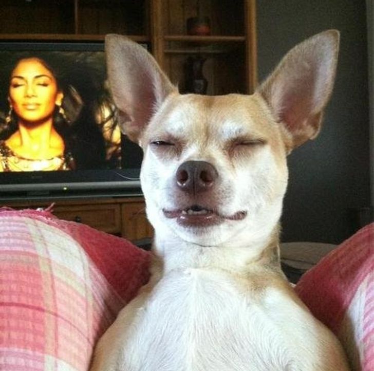 e576055738bc7fe1c392f17549