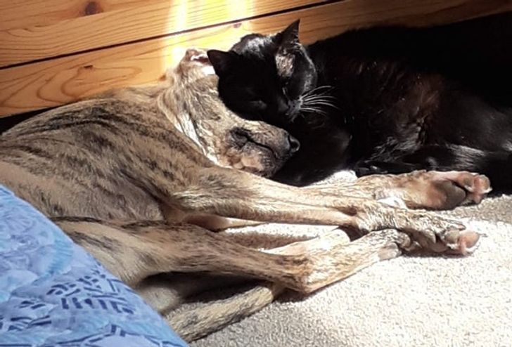 e57f3258ddb17e7510a140b412