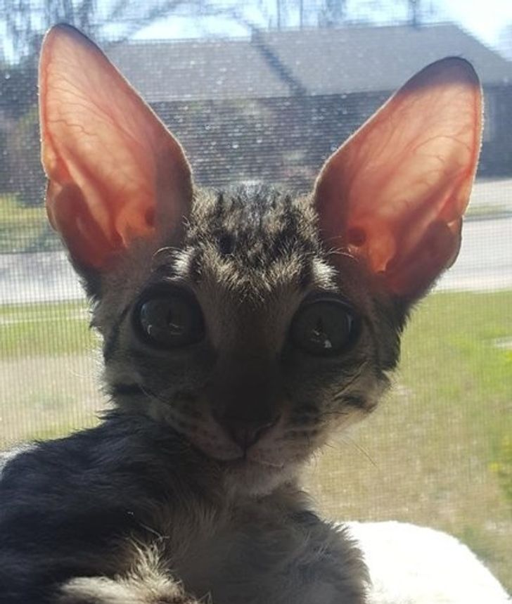 e581b259d09f0b89793d5c69c3