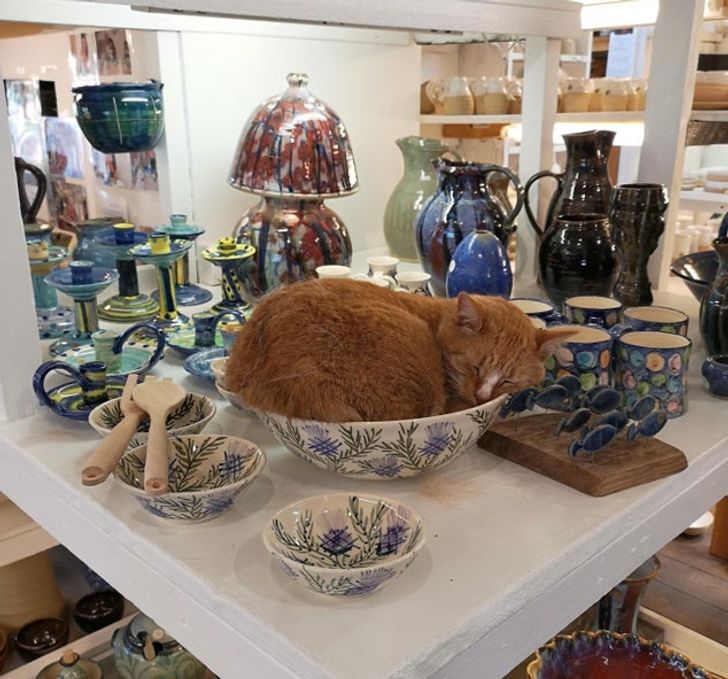 e582e95299b9b6d4979da637b7