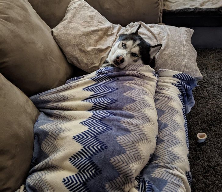 e584e05177b218f063fd09ec34