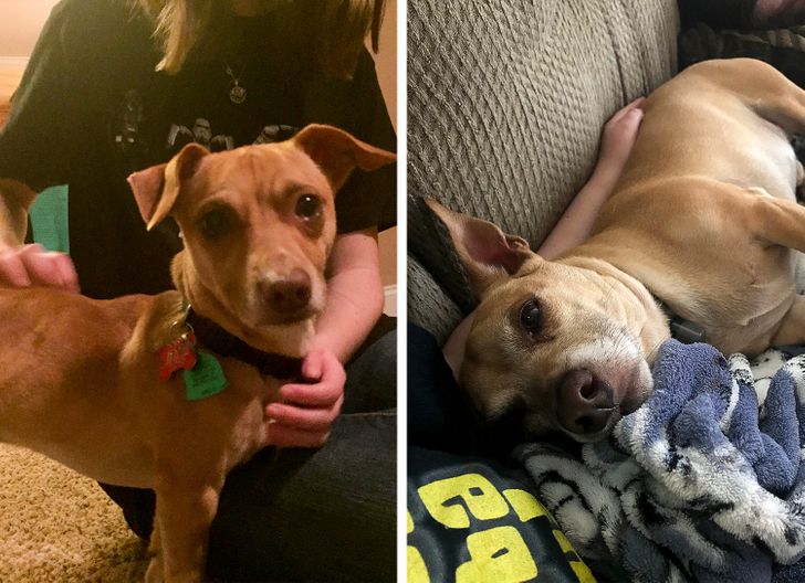 e5973558f58431a75f6182cdc6