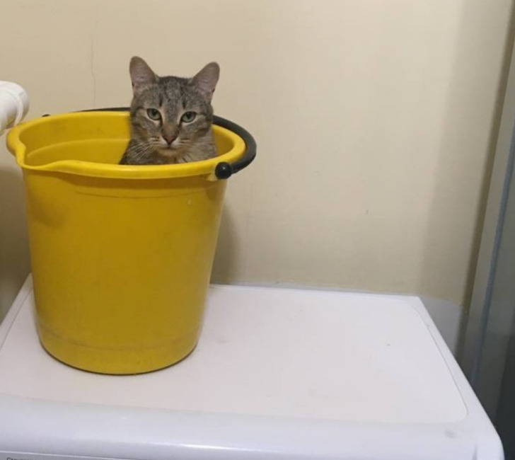 e5993f5eb8be7323834664cd95 e5993f5eb8be7323834664cd95