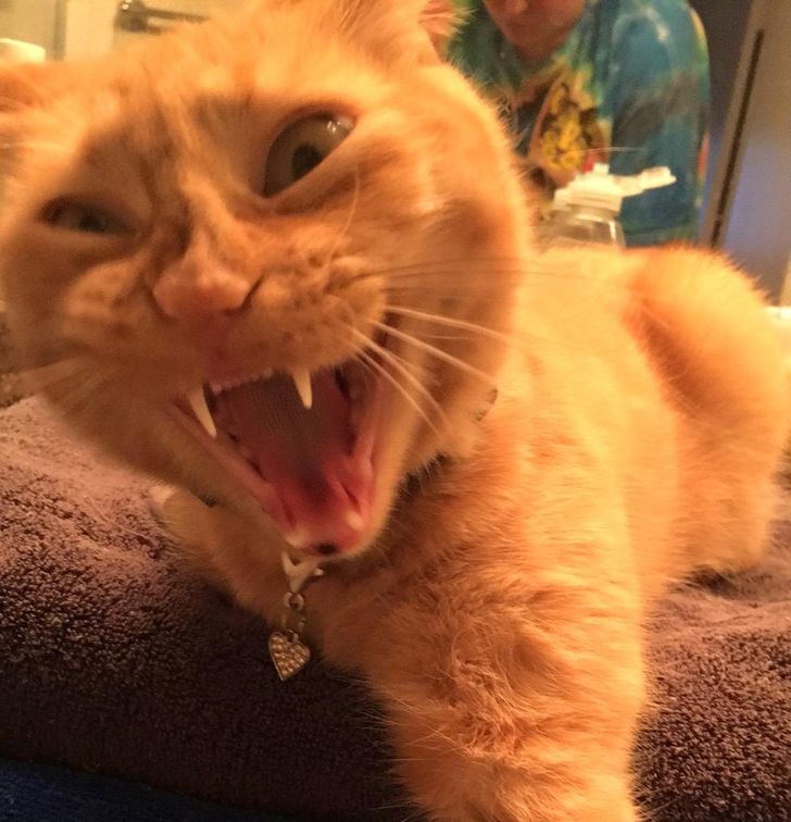 e59db250349c20d54d9d857c5f