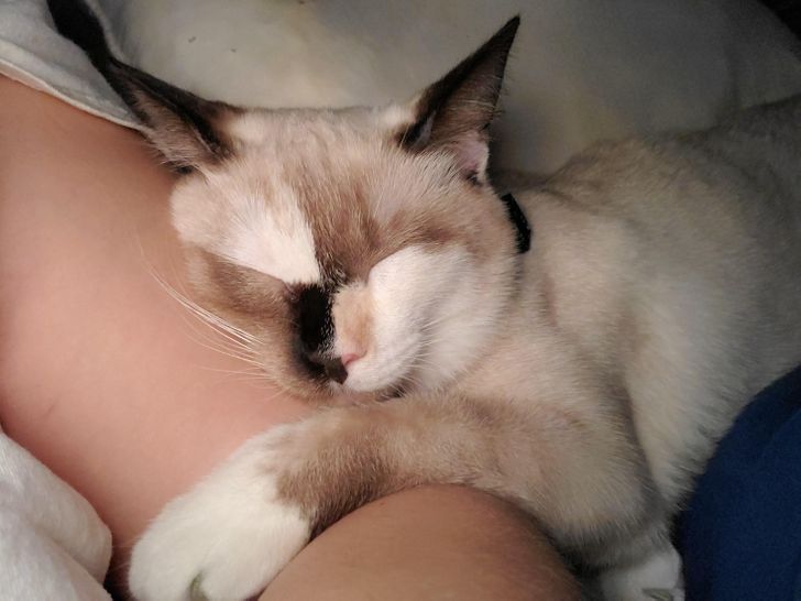 e5a566596e84cab72c98dd00f3