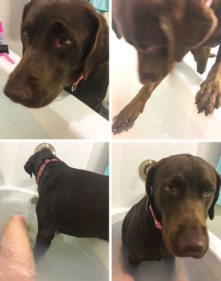 e5ada0541880ffdc424300acf1